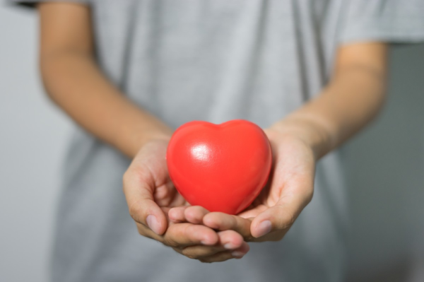 Reasons For Heart Attack And Sudden Death Of Young People
