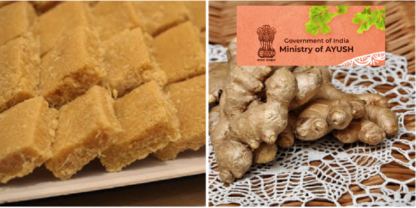 Ginger burfi recipe Ayush ministry