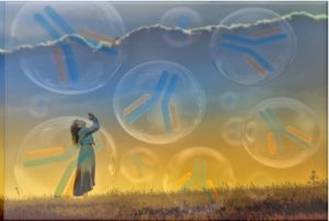 Happiness and natural antibodies