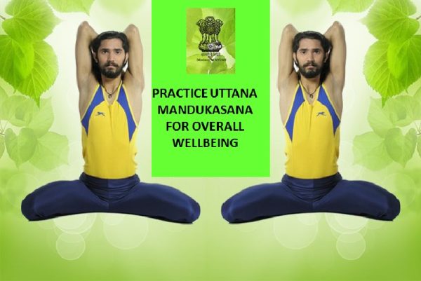 Uttana Mandukasana benefits
