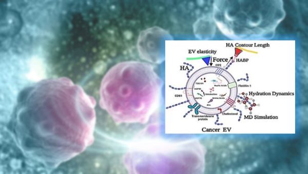 Sugar coated fluid to detect cancer