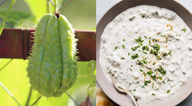 chow chow raita