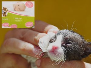 Baby wipes uses