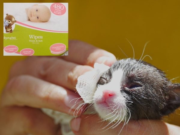 Baby wipes uses