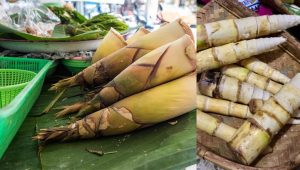 Bamboo shoot benefits