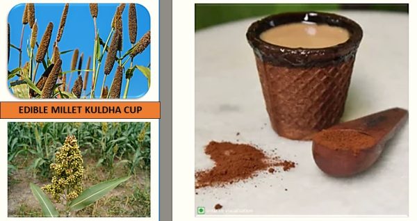 Edible Millet kuldha cup