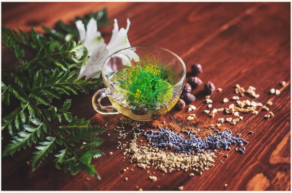 Benefits Of Rue Plant