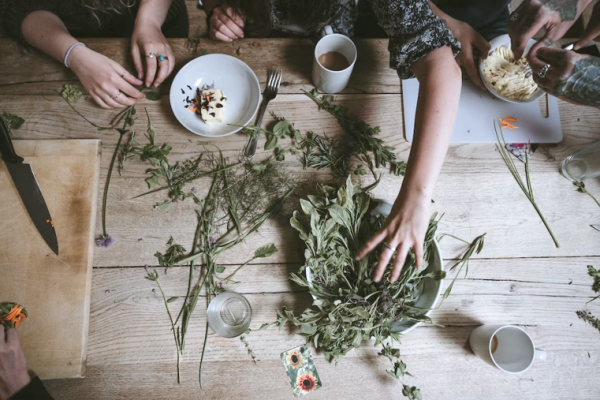 Rue Is Used In Alternate Medicines And Culinary