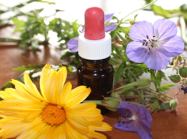 Rue In Herbal Remedies & Supplements