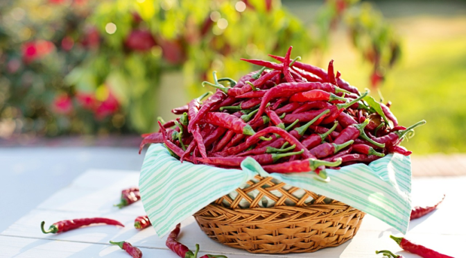Cayenne pepper in carrier oil