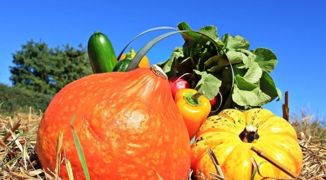 Organic food benefits