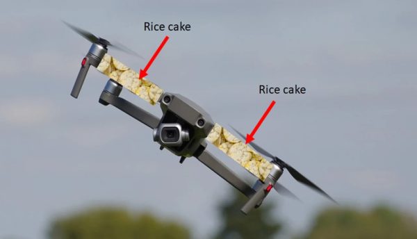 Edible Drones