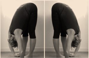 Wall Roll Down