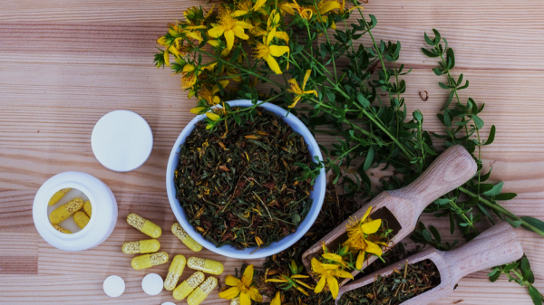 Plants As Source for Allopathy Medicines