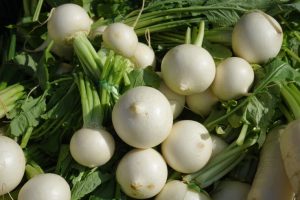 Turnip benefits