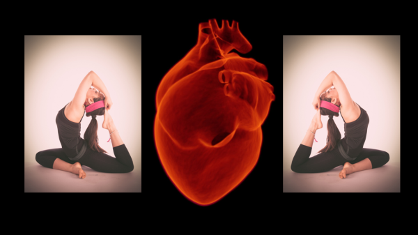 Yoga Improves Flexibility of Blood Vessels