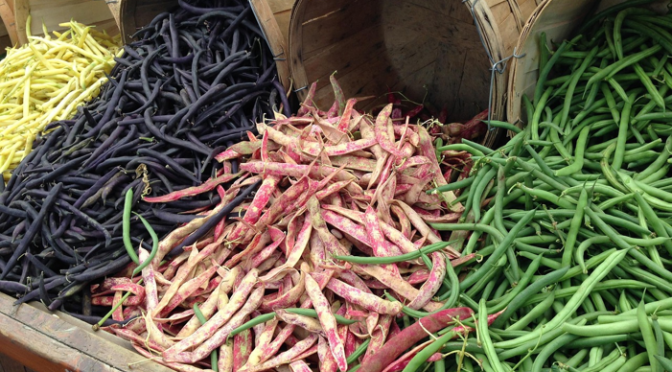 Best Prebiotic and Probiotic Foods That We Must Consume