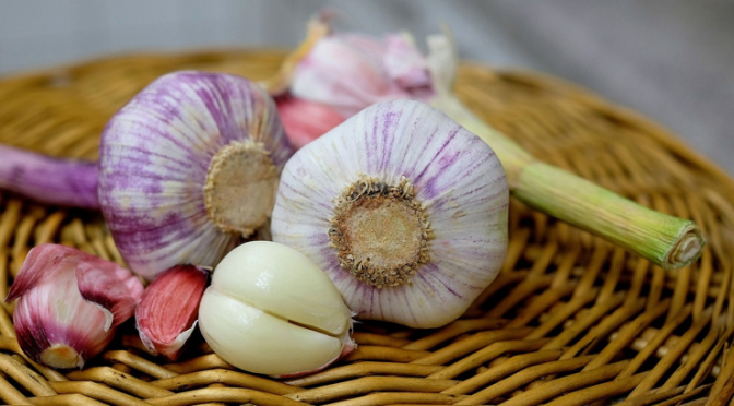 Prebiotics: When to Eat Them?