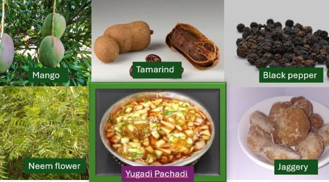 Yugadi pachadi recipe