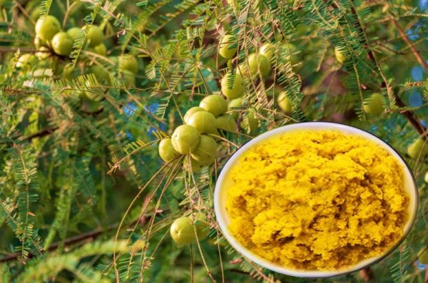 Amla Tokku recipe