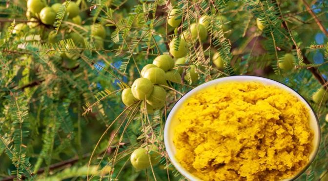 Amla Tokku recipe