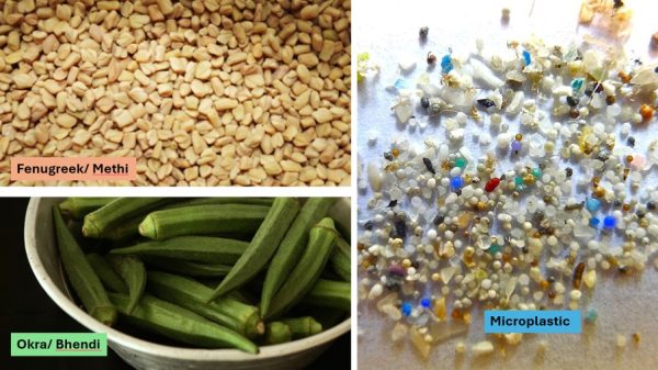 Bio flocculants to remove microplastics