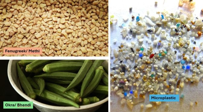 Bio flocculants to remove microplastics