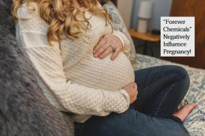 Forever chemicals and pregnancy