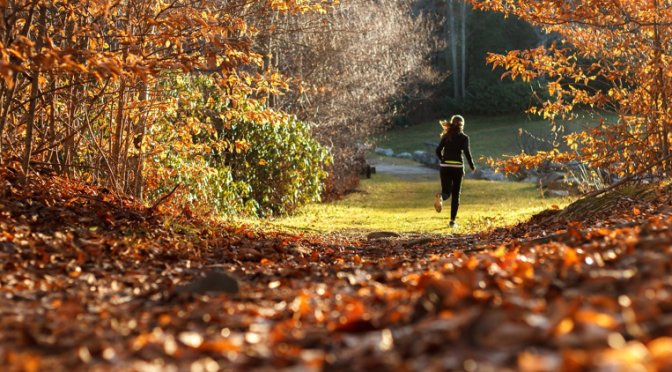 Managing Skin Condition In Fall Season