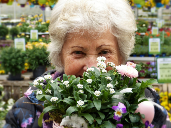 Other Types Of Dementias And Non -Dementia Memory Loss
