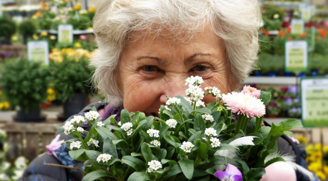 Other Types Of Dementias And Non -Dementia Memory Loss