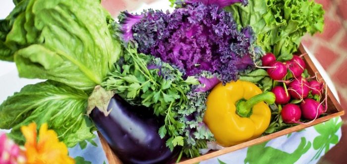 Why and how do plant-based foods lower dementia risk? Why and how do plant-based foods lower dementia risk?